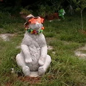 Meet your Posher, Cynthia